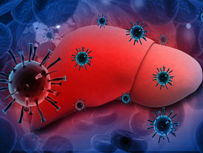 Гепатити – один з основних факторів ризику для здоров’я людства.